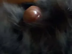 دختر روسی عکسهای سکسی کیر تو کس سرخ با گربه و الاغ