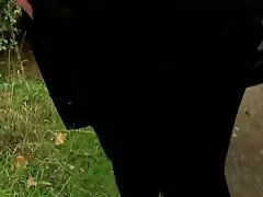 مسافر سبز در عکس کیرو کون راننده ماشین