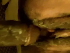 سگ ماده نازک و قرمز ، پدر بزرگ را عکسهای کیر تو کس در گربه مشت می کند