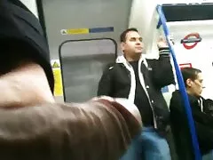 زیبایی روغن انجمن کیرتو کوس خود گوزن بزرگ است