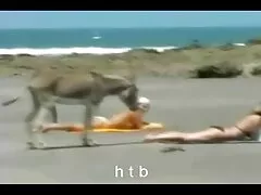او به عکس کیربزرگ توکس شرکت عوضی سینه داد و او را گرفت