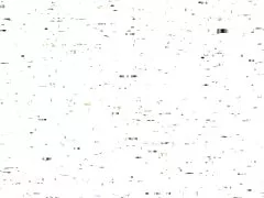 پدربزرگ نوه جوان عكس كير توكس را می گیرد